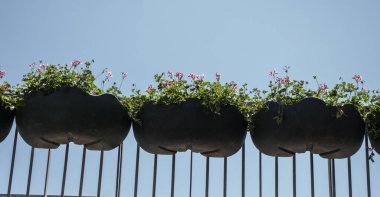 Çiçekçilere vazo olarak taze çiçekler konur.