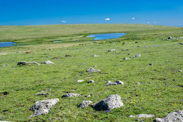 Türkiye 'nin Artvin ilinde Highland Gölü yeşil doğal arka planda