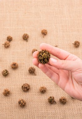 El ele tutuşan kapsül ya da kapsül tuval arka planında