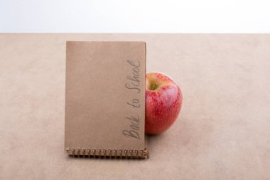 Okula geri döndüm ve elimde bir defter vardı.