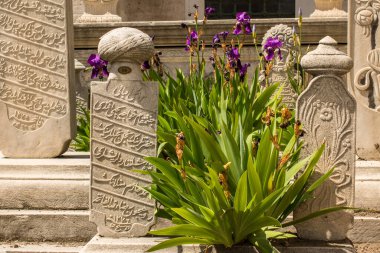İstanbul 'daki mezarlarda Osmanlı zamanından kalma eski taşlar