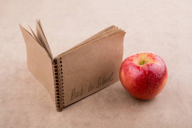 Okula geri döndüm ve elimde bir defter vardı.