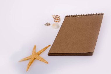 Beyaz bir arka plan üzerinde kabukları ile küçük kahverengi spiral defter