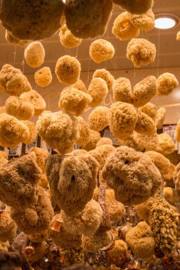 Markette asılı duran deniz süngerleri koleksiyonu