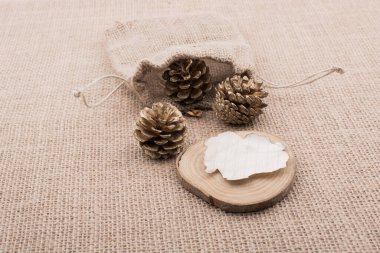 Çuvaldan çam kozalakları ve yanmış paperon tuval.