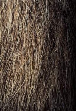 Arka plan dokusu olarak dekoratif hayvan kürkü