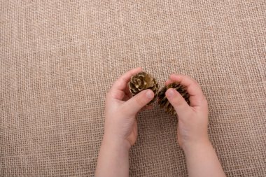 El ele tutuşan kozalaklar tuvalin arka planında