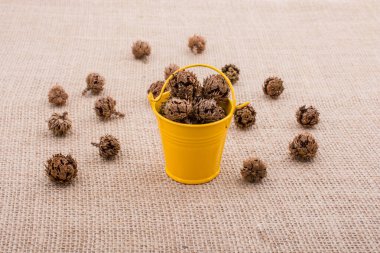 Kahverengi pod, kapsül ve tuval üzerine mini Kepçe çevresinde