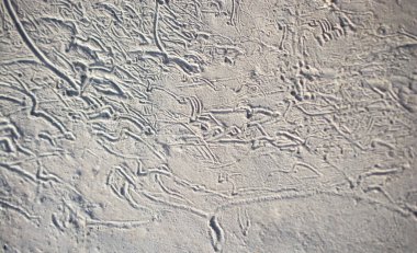 Yeni dökülmüş beton yüzeydeki desenler