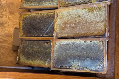 Tatlı taze bal mühürlü tarak çerçevesinde