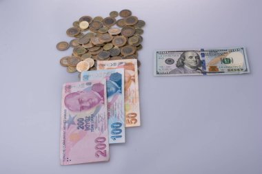Amerikan Doları ve Turksh Lirası banknot ve madeni paralar yan yana