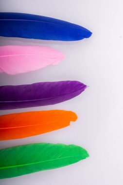Renkli kuş tüylerinin doku arkaplanı olarak stüdyo fotoğrafı