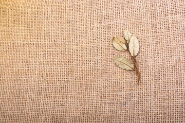 Keten tuval üzerine yeşil yaprakları kuru