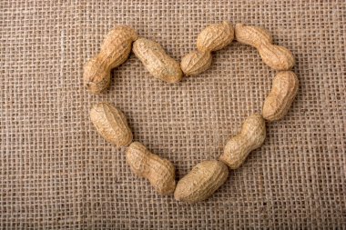 Fıstık tuval arka plan üzerinde bir kalp şeklindebir