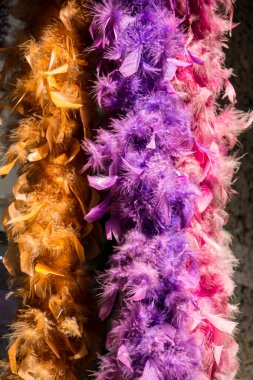 Dekoratif amaçlar için güzel kuş tüyleri