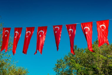 Gökyüzünde beyaz yıldız ve ay olan Türk ulusal bayrakları