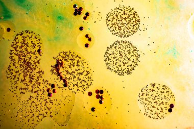 Su tabanında yağ kabarcıkları oluşmuş.