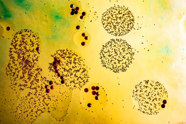 Su tabanında yağ kabarcıkları oluşmuş.