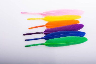 Renkli kuş tüylerinin doku arkaplanı olarak stüdyo fotoğrafı