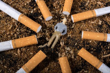 Dünya Tütüne Hayır Günü posteri sigara içilmez diyor.