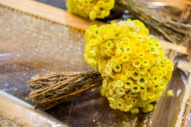 Kuru haldeki güzel renkli doğal çiçekler.