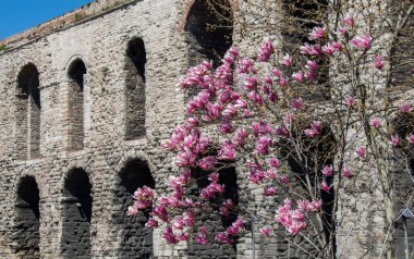 İstanbul Fatih 'te tarihi bir akarsu manzarası