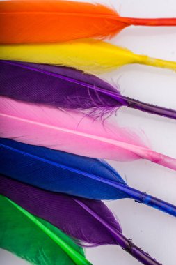 Renkli kuş tüylerinin doku arkaplanı olarak stüdyo fotoğrafı