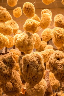 Markette asılı duran deniz süngerleri koleksiyonu