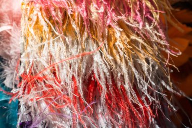 Dekoratif amaçlar için güzel kuş tüyleri