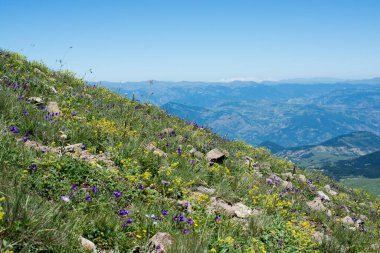 Artvin yaylaları Kuzey Doğu Türkiye'den panoramik Dağ Manzaralı