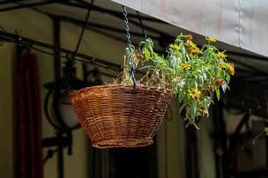 Güzel çiçek dükkanı girişte hangin çiçek sepeti