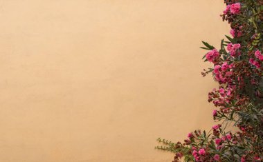 Arkaplan olarak ağaç parçalı duvar