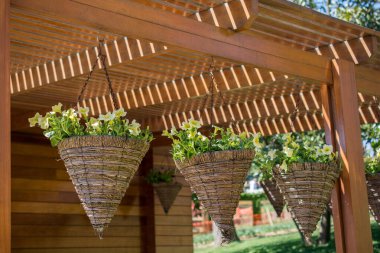 Çiçekçilere vazo olarak taze çiçekler konur.