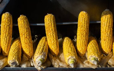 Yiyecek olarak bir sürü taze soyulmuş mısır var.