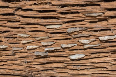 Belirli bir doku kalıbına sahip arka plan