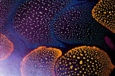 Su tabanında yağ kabarcıkları oluşmuş.