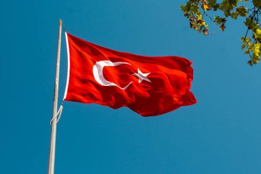 Gökyüzünde beyaz yıldız ve ay bulunan Türk ulusal bayrağı