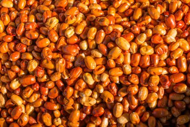 Taze organik meyve, iğde, gümüş berry veya Rusya zeytin