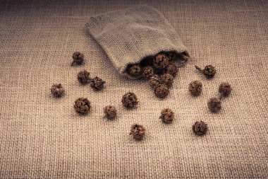 Bitki kapsülleri, çuvaldan çıkan kapsüller.