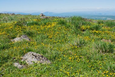 Türkiye 'nin Artvin dağlarındaki dağların manzarası