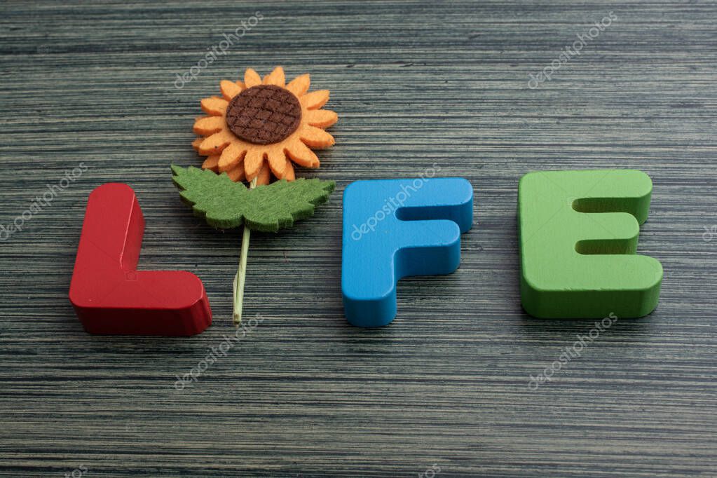 Life wording with the help of a fake flower in view