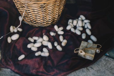 Manzarada bir sürü beyaz ipek böceği kozası var.