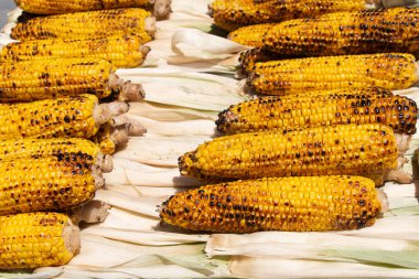 Çekirdeklerin üzerinde ızgara mısır soyulmuş.