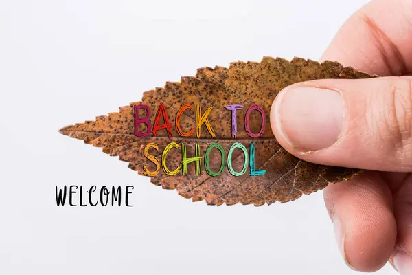 stock image Back to school wording as education, teaching and learning concept