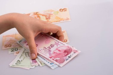 Turksh Lirası banknotlar beyaz arka plan üzerinde tutan el