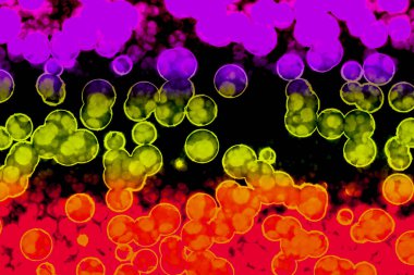 Bakteri hücresinin şekli: cocci, bacilli, spirilla bakteri arka planı