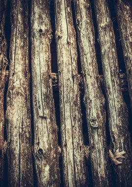 Belirli bir doku kalıbına sahip arka plan