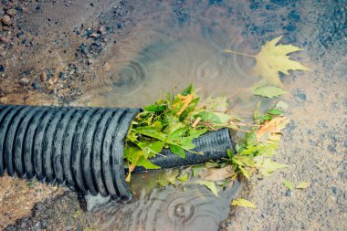 Çiçeksel arka plan dokusu olarak fırtına üstüne fırtına bırakır