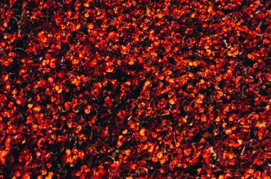 Belirli bir doku kalıbına sahip arka plan