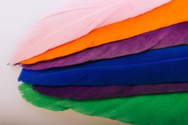 Renkli kuş tüylerinin doku arkaplanı olarak stüdyo fotoğrafı